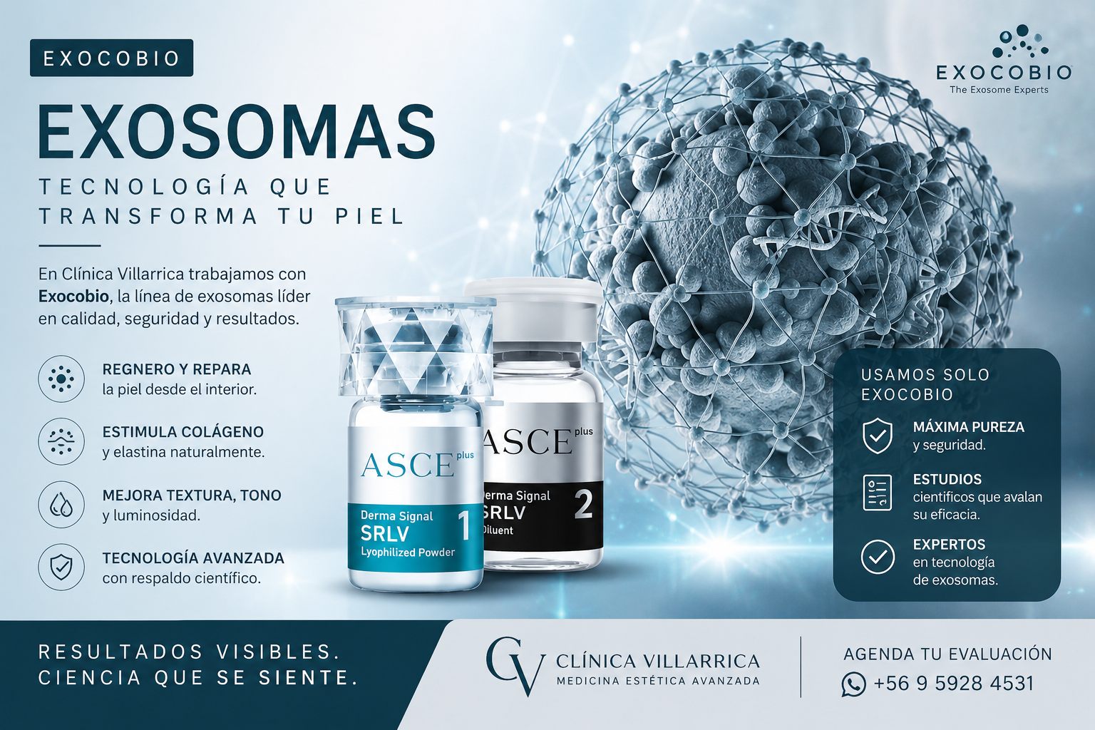 ASCE+ Skin (SRLV) de ExoCoBio, la línea de exosomas que utiliza Clínica Villarrica para piel